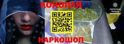 крисы Пенза