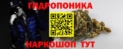 ГАЛЛЮЦИНОГЕННЫЕ ГРИБЫ Пугачёв
