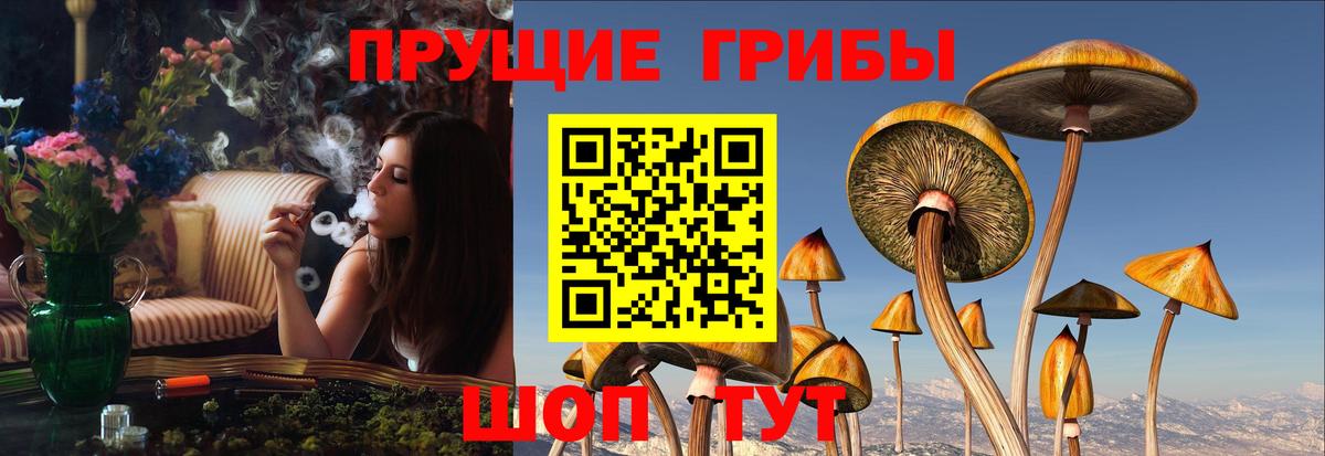 Псилоцибиновые грибы Psilocybine cubensis  Вход с VPN  Нефтеюганск 